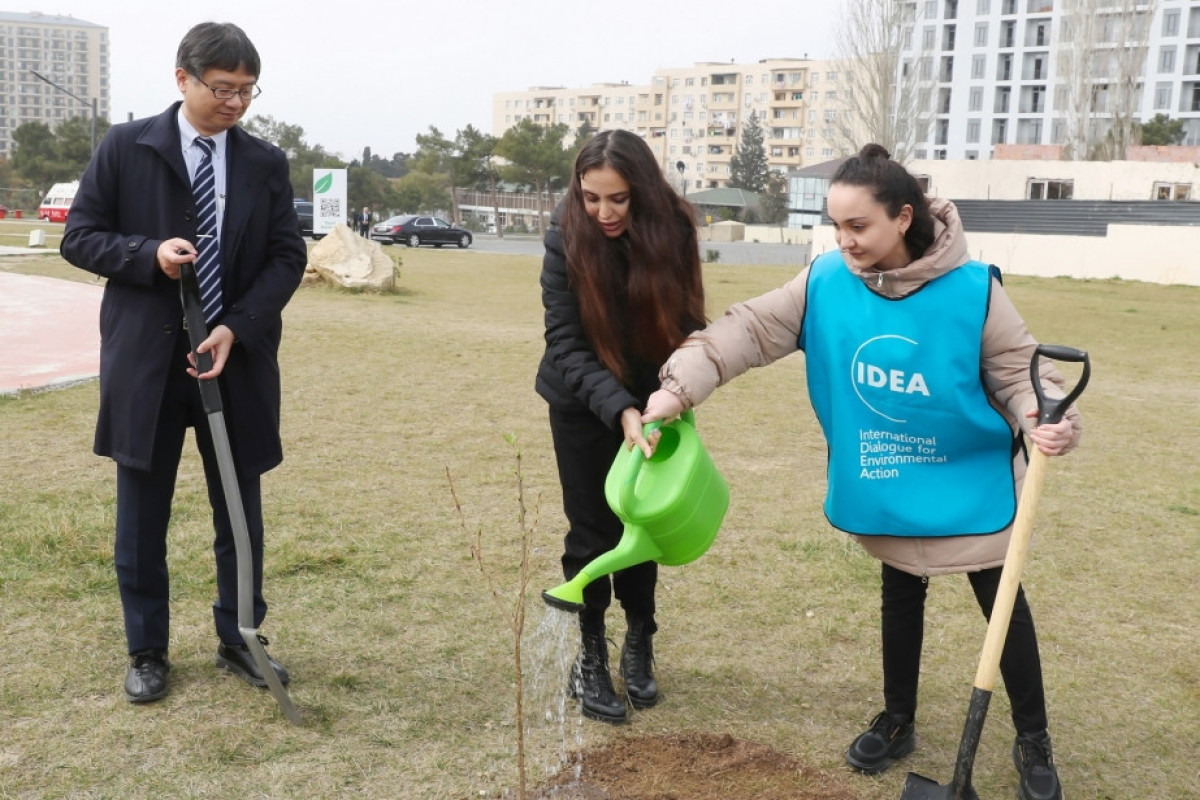 “Yaşıl Marafon 2023” ağacəkmə kampaniyasına start verilib