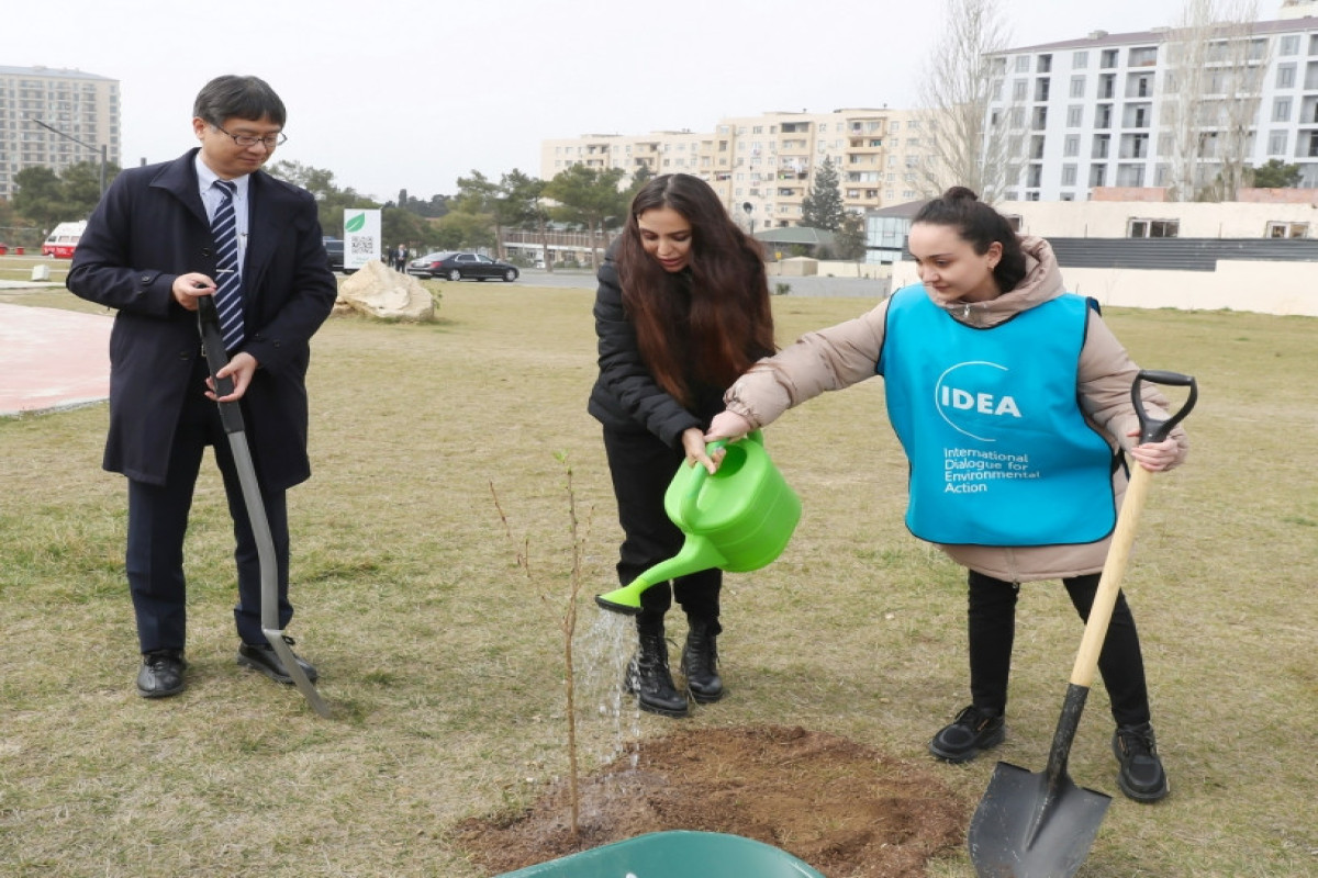 Vice-President of Heydar Aliyev Foundation Leyla Aliyeva attends Green Marathon 2023 tree-planting campaign-PHOTO 