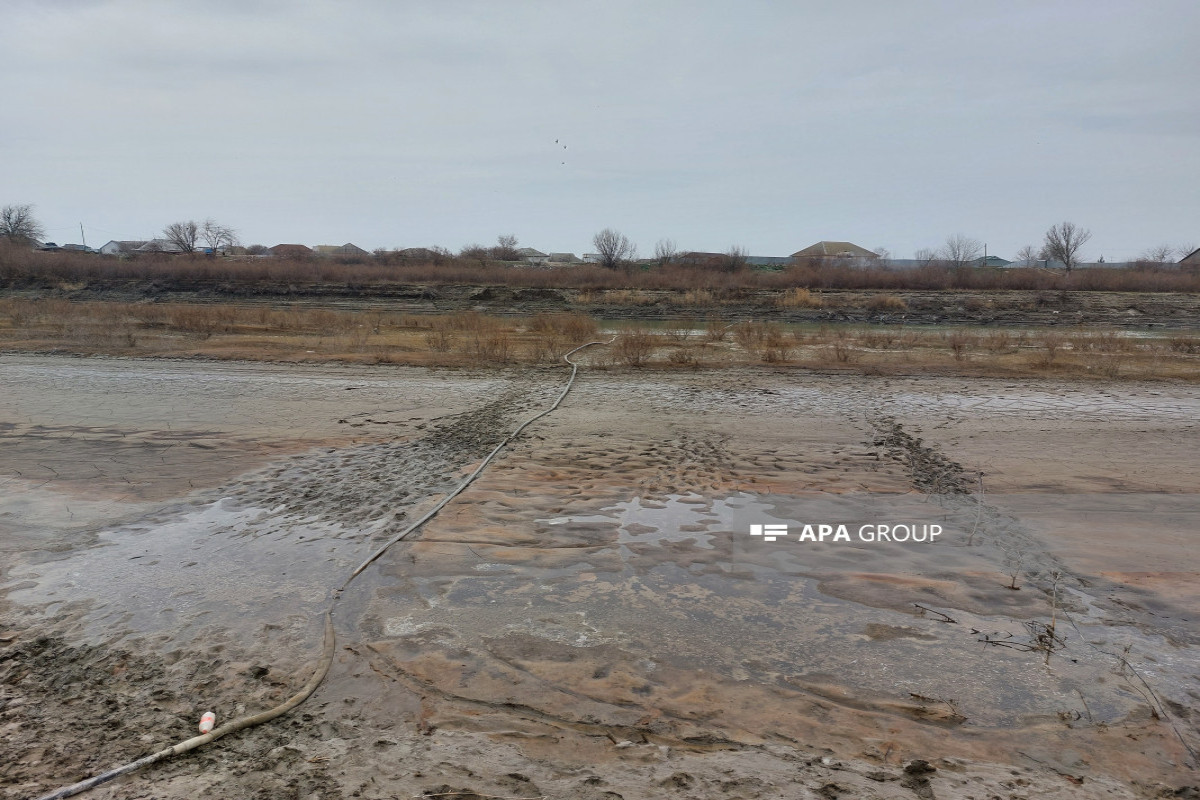 На территориях Нефтчалинского и Сальянского районов мелеет река Кура - ФОТО 
