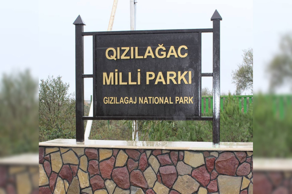 Qızılağac Milli Parkında brakonyerlərə məxsus qayıqlar aşkarlanıb