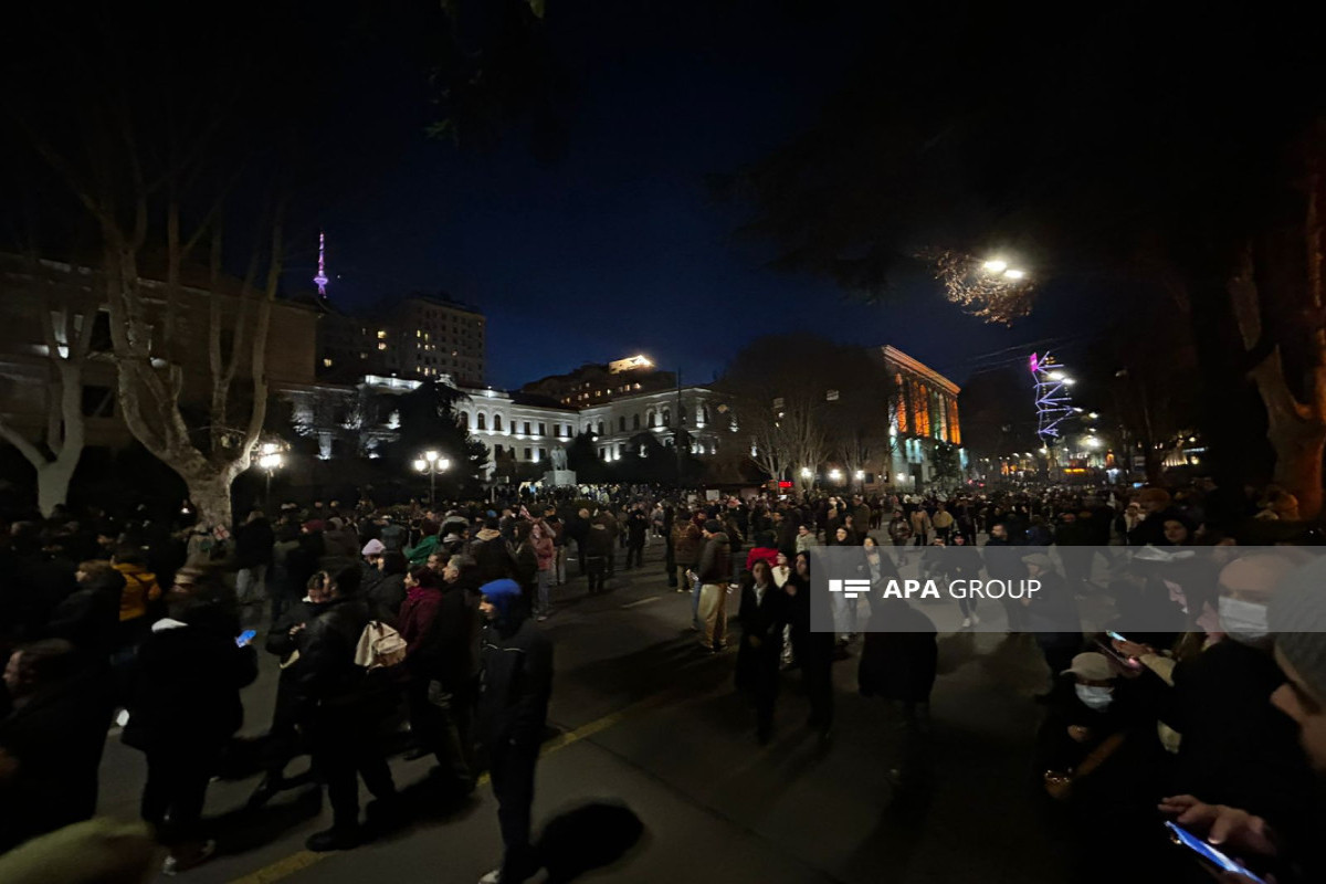 В Тбилиси возобновилась акция протеста
