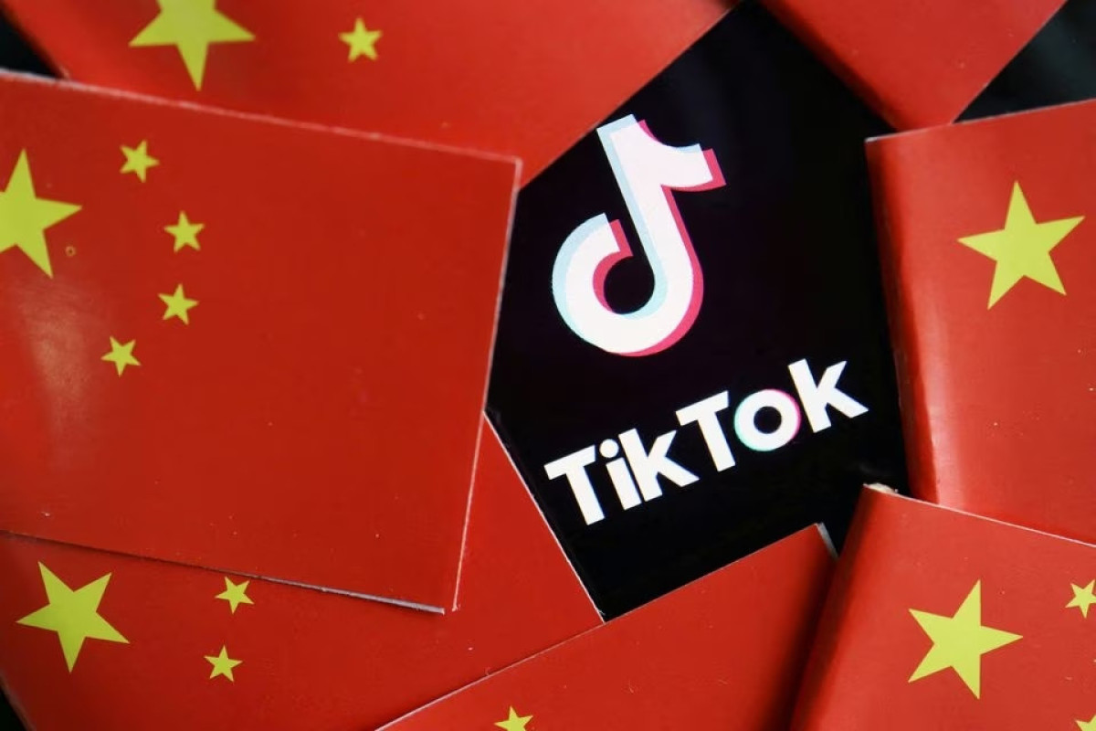 Belgium bans TikTok from federal government work phones