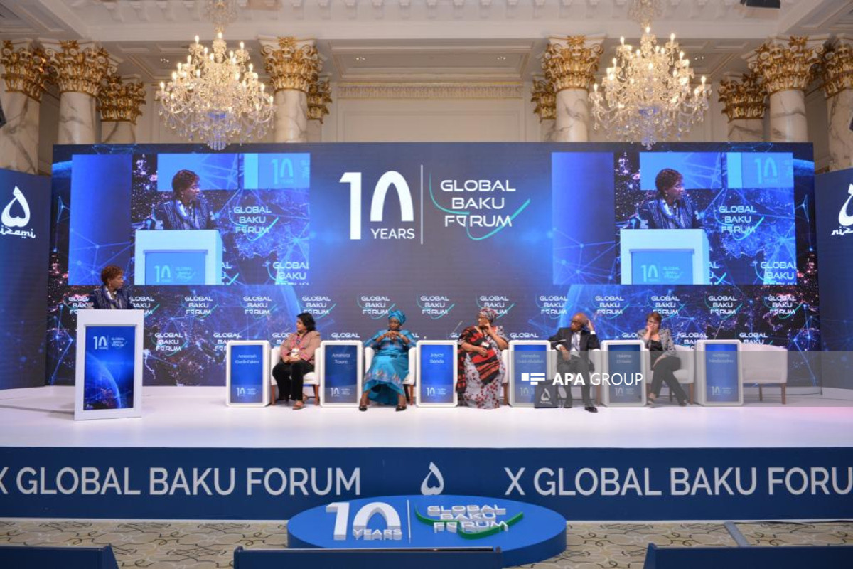 Panel discussion on the geostrategic importance of African region was held at X Global Baku Forum-PHOTO 