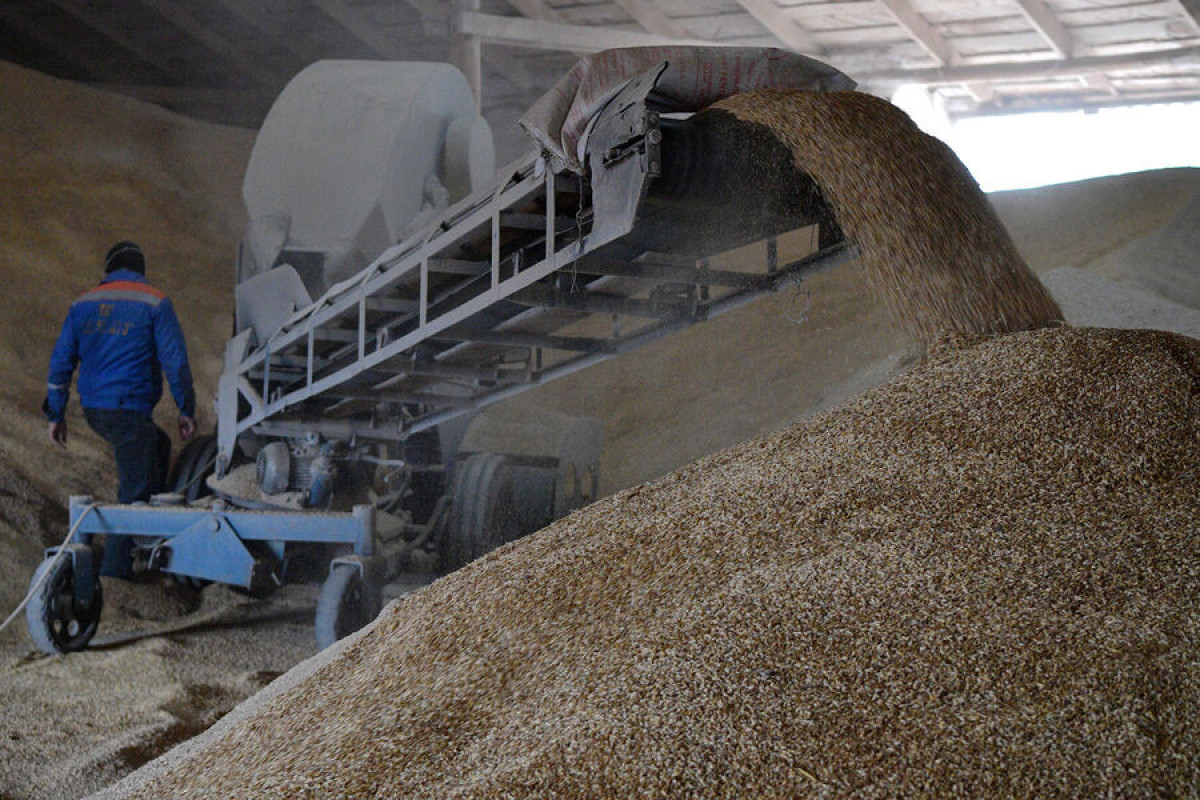 Мининфраструктуры Украины: Продление зерновой сделки на 60 дней противоречит соглашению