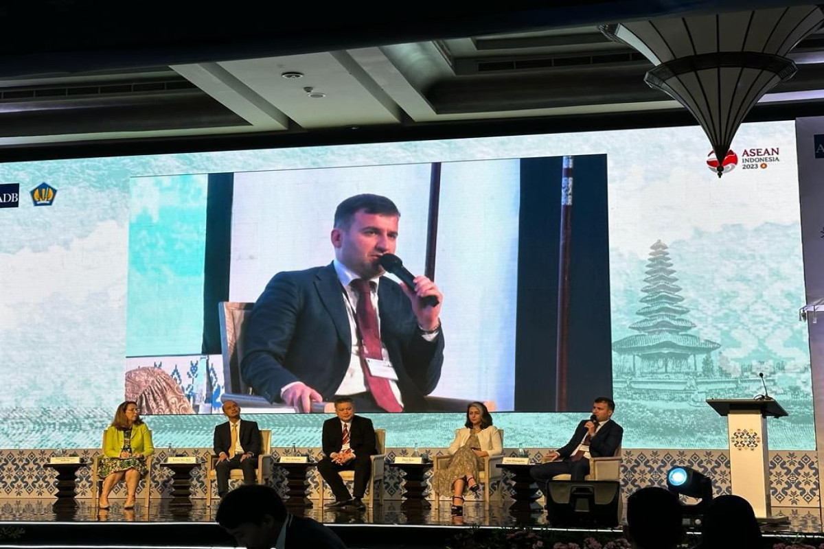 Azərbaycan Dövlət Borcunun İdarə Edilməsi üzrə Asiya Regional Forumunda təmsil olunub - FOTO 