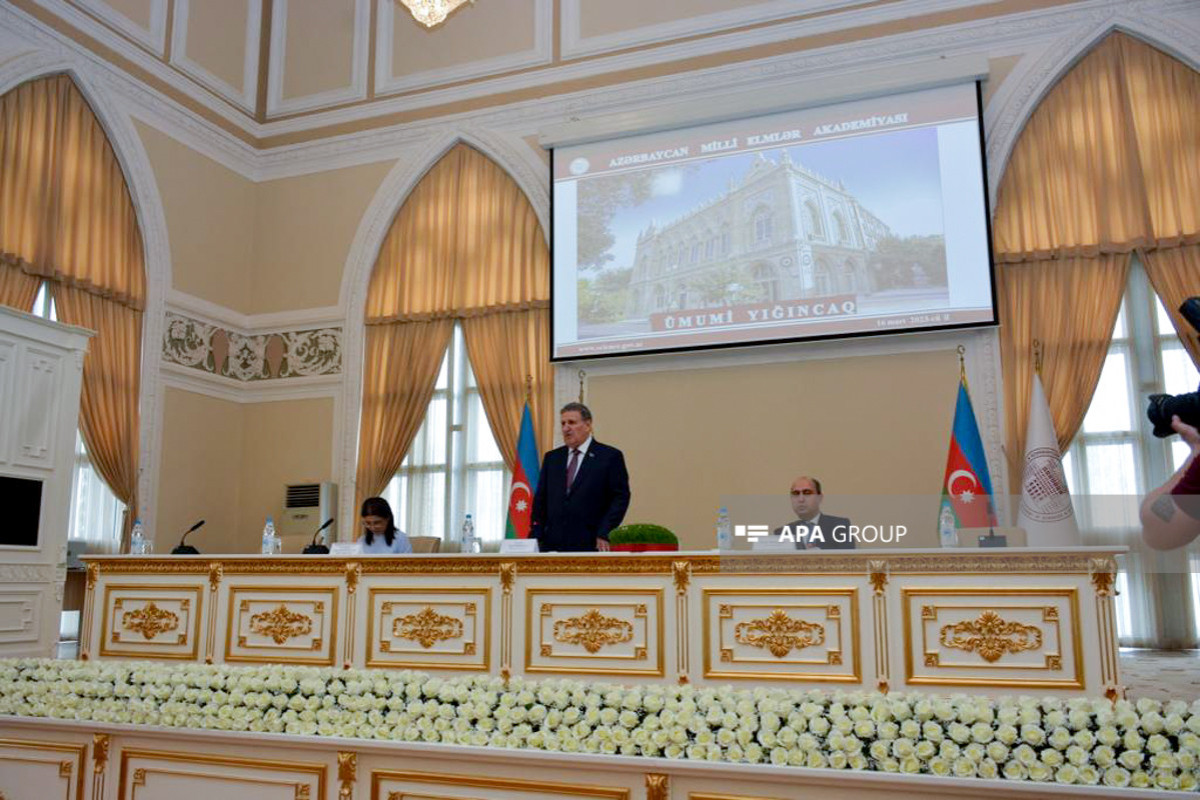 AMEA: İctimai elmlər sahəsində istinadların hesablanmasıda ciddi problem var