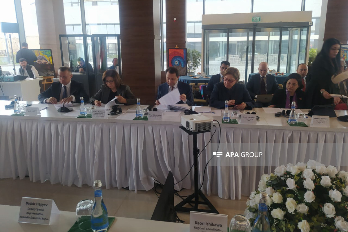 В Агдаме проходят стратегические консультации по партнерству Азербайджан-ООН - ФОТО 