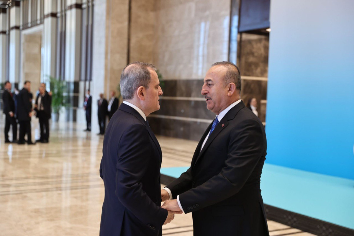 Azerbaijani FM addresses Extraordinary Meeting of OTS Council of Foreign Ministers