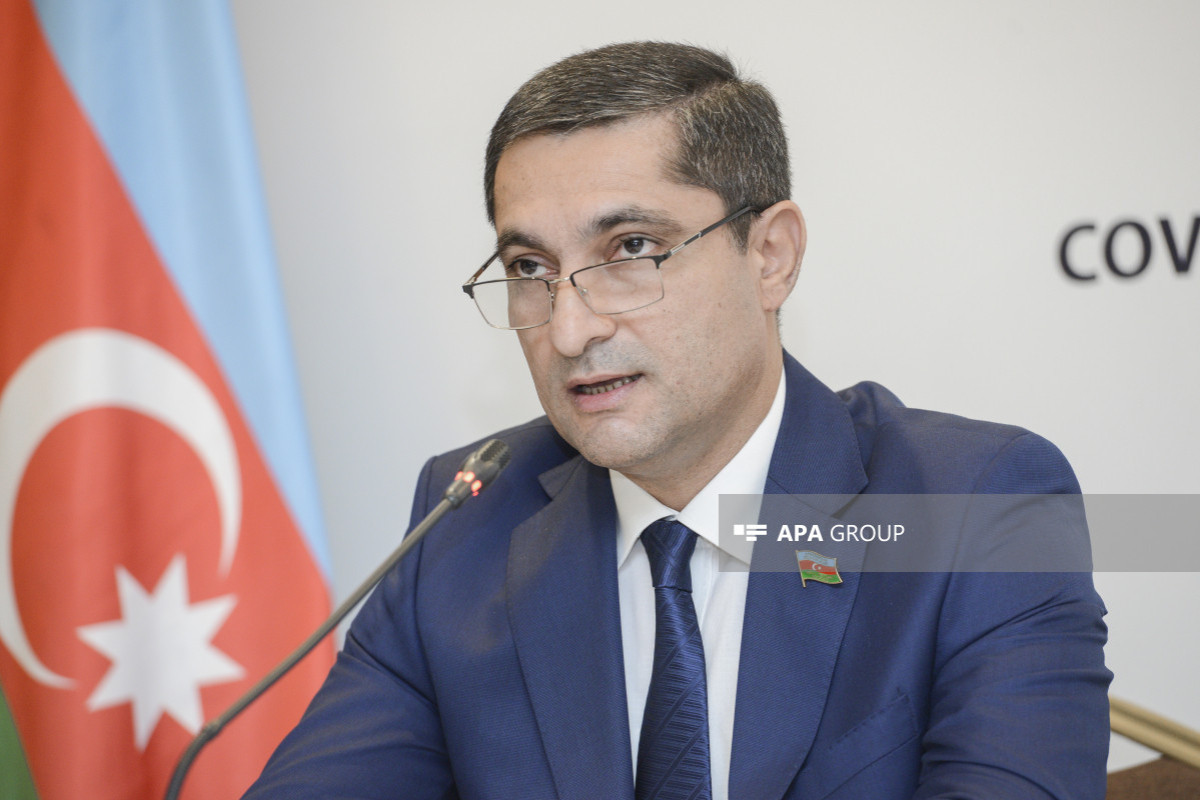 Deputat: Əmək bazarında ayrı-seçkiliyə məruz qalanlar sırasında irsi qan xəstəliklərindən əziyyət çəkənlər var