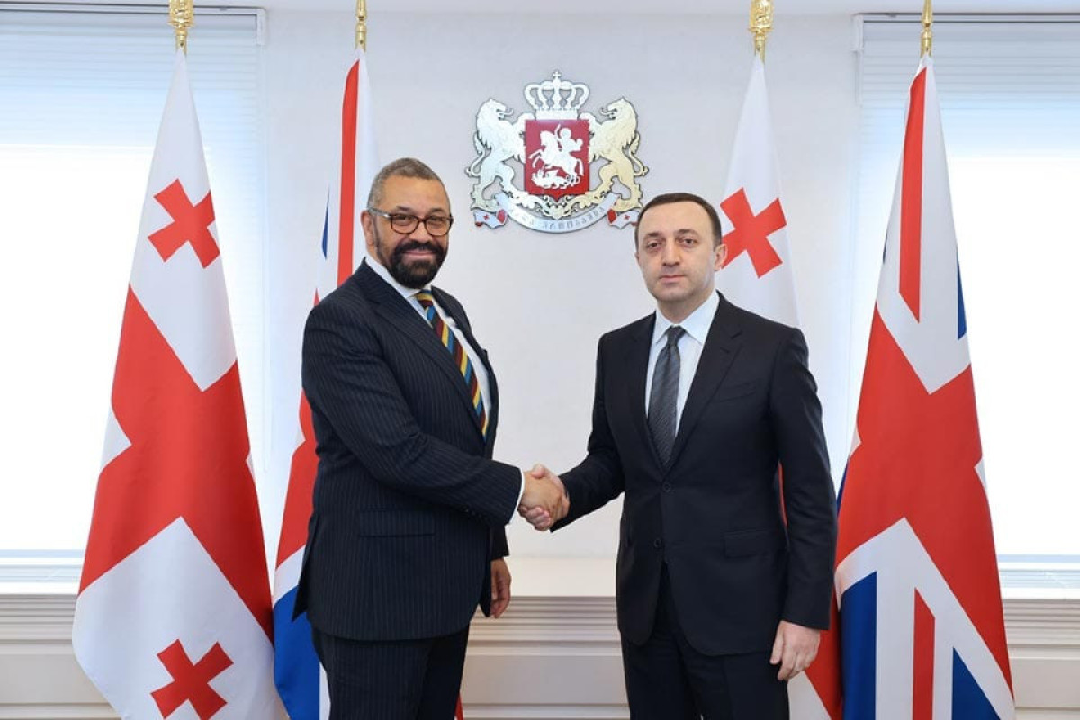İrakli Qaribaşvili Britaniya xarici işlər naziri ilə görüşüb