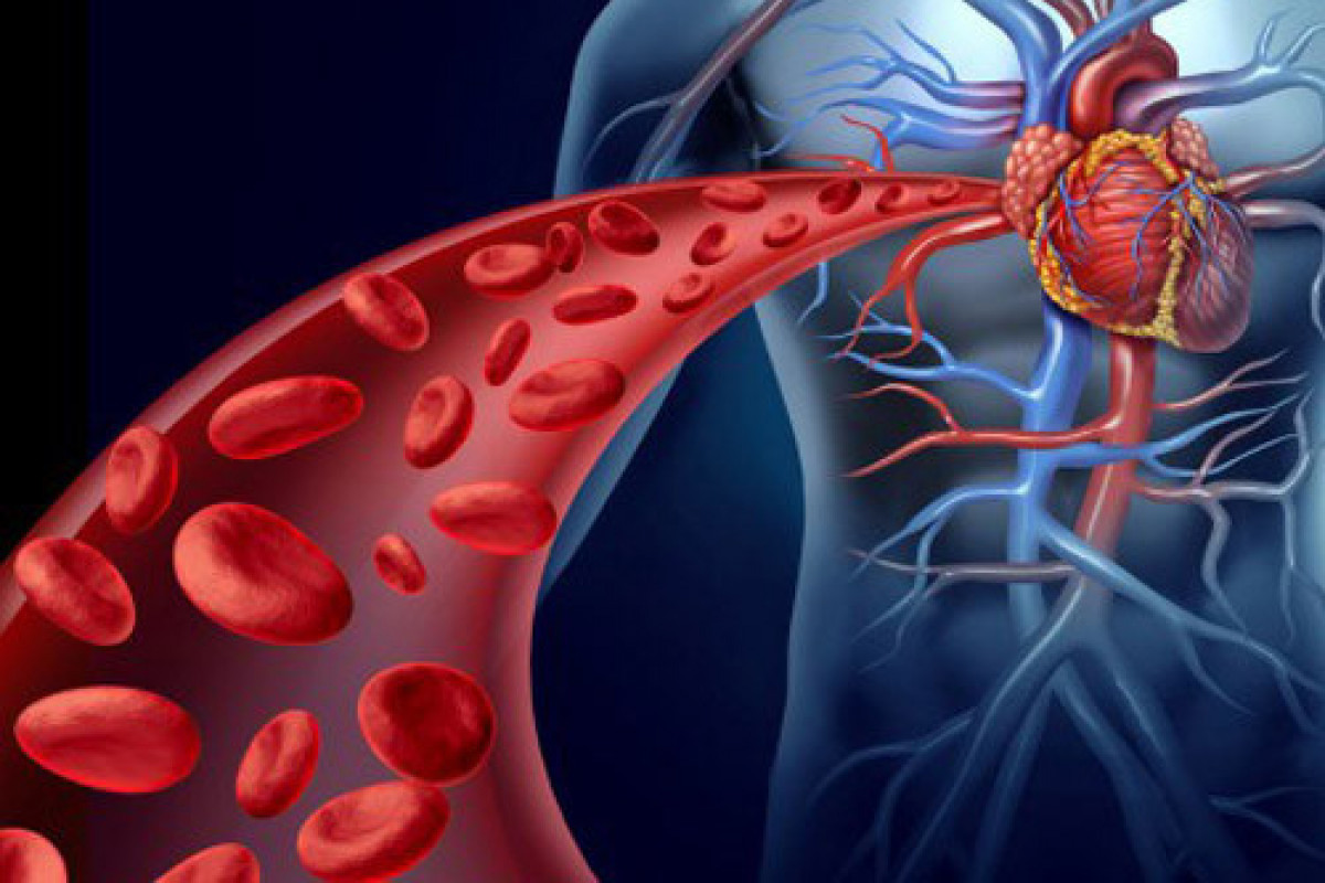 ETKİ: Ürək-damar xəstəlikləri ilə bağlı davam edən şikayətləri olanların oruc tutması tövsiyə edilmir