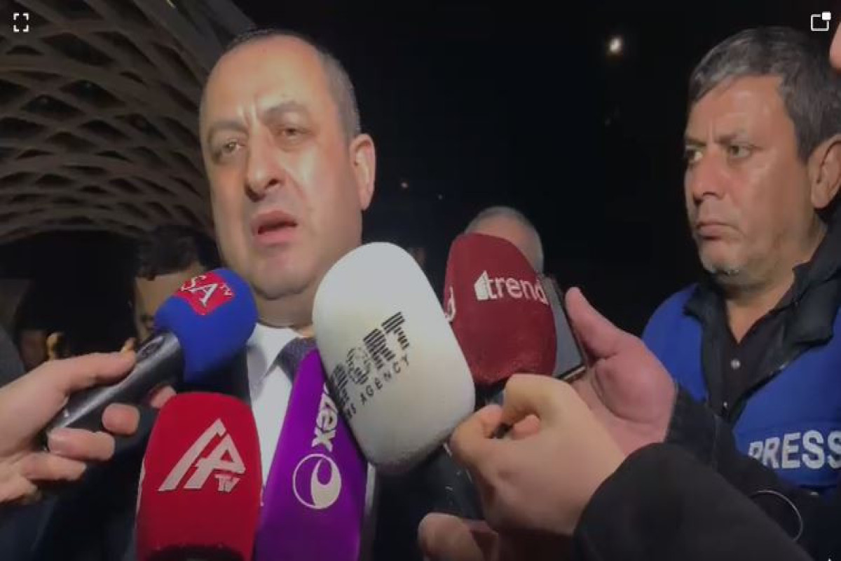 Adil Əliyev: “Cinayətkarlar yaxalanmadan hər hansı bir iddia irəli sürmək doğru olmaz”