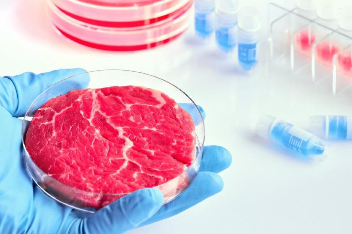 Italian government seeks to ban synthetic meat