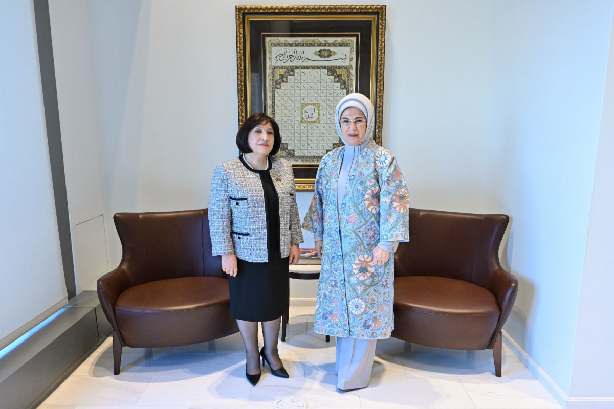 Speaker of Azerbaijani Parliament meets with Turkish First Lady in margins of UN Special Session -<span class="red_color">PHOTO-<span class="red_color">UPDATED
