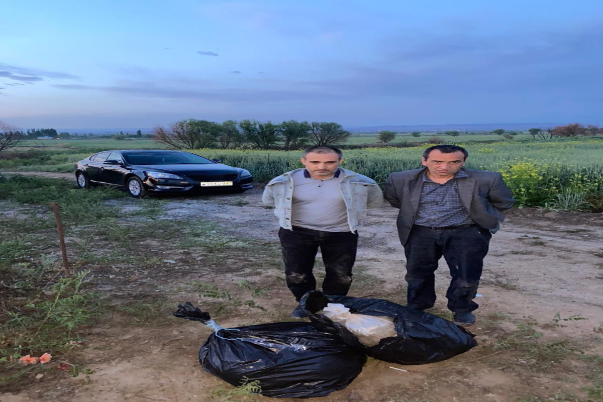 SBS: Transfer of 87 kg of drugs to Azerbaijan prevented-PHOTO 