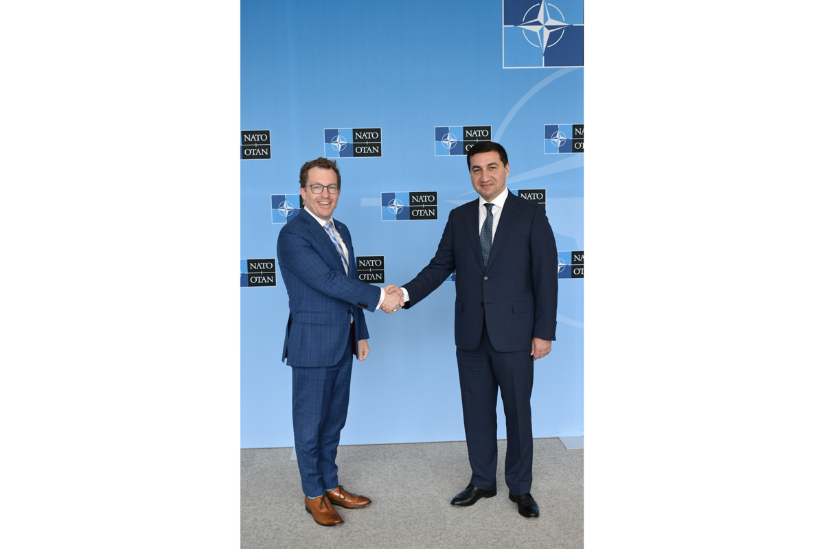 Assistant to the President of Azerbaijan - Head of the Department of Foreign Policy Affairs of the Presidential Administration, Hikmet Hajiyev and NATO Assistant Secretary General David Cuttler