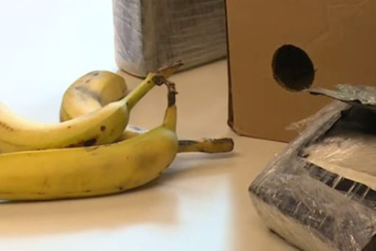 Португальская полиция изъяла более 4 тонн кокаина в контейнере с бананами