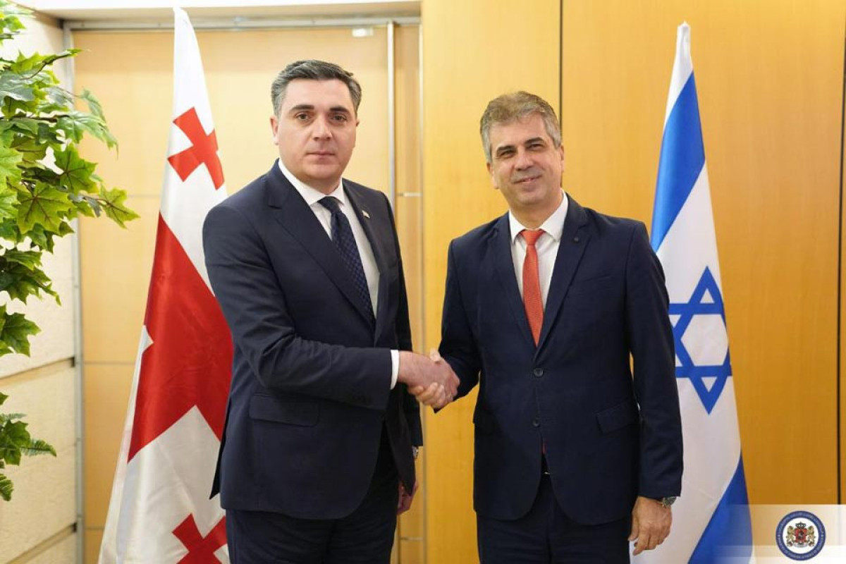 Gürcüstan və İsrailin xarici işlər nazirləri görüşüb