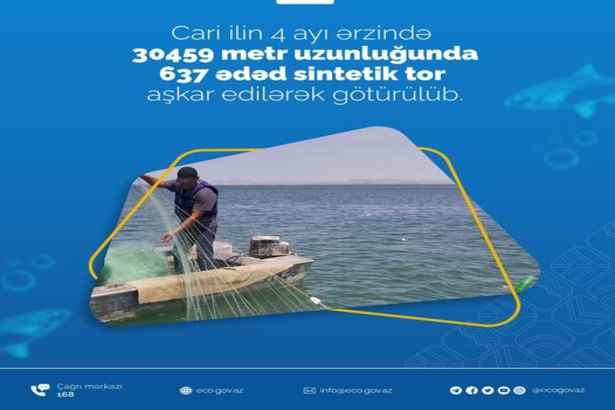 Bu il su hövzələrində 637 ədəd sintetik tor aşkar edilib