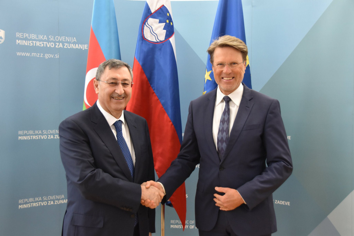 Political consultations held with Slovenia