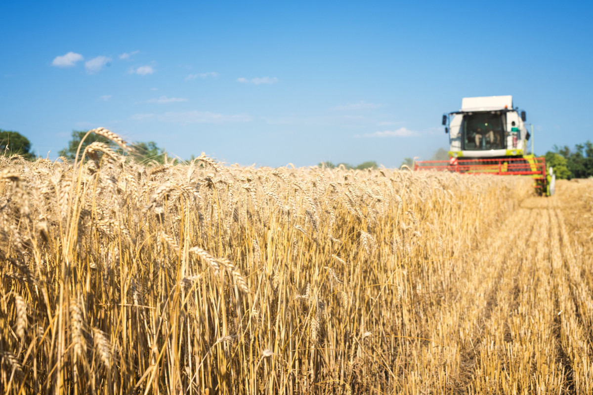 Bulgaria to lift ban on Ukrainian agricultural imports