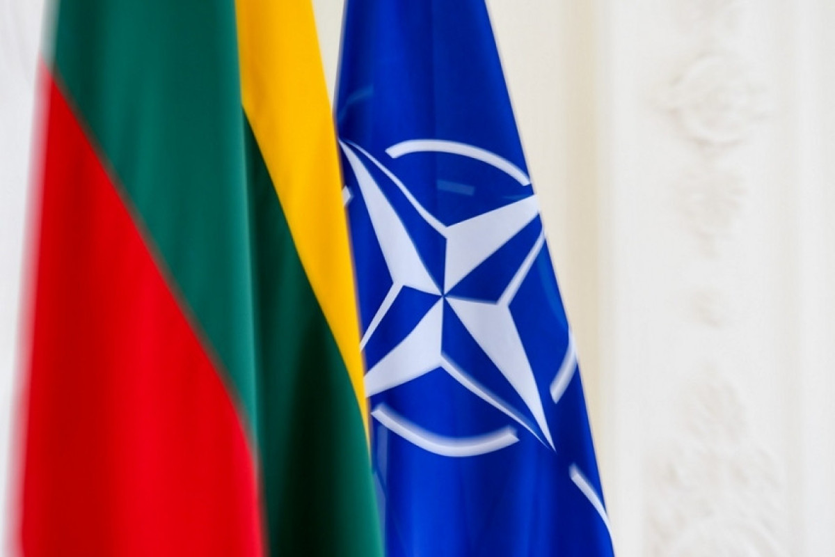 Литва попросила США об усилении группировки ВВС НАТО в Балтии