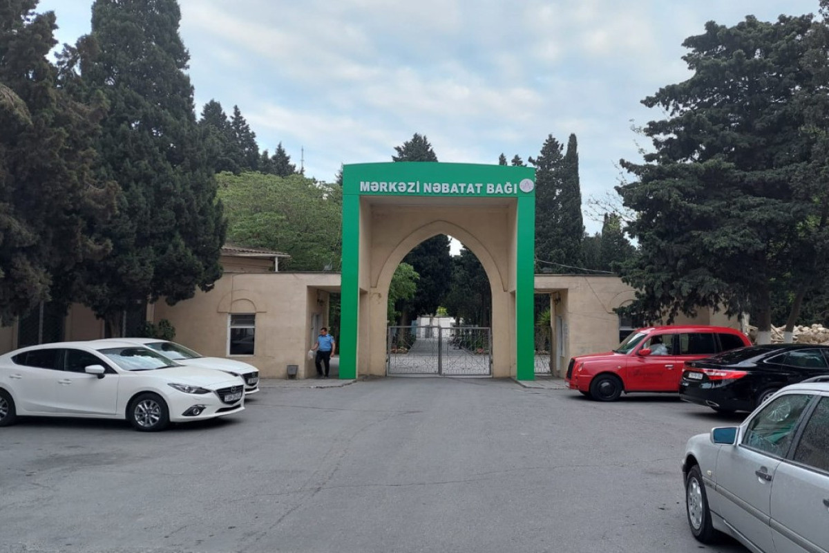 Mərkəzi Nəbatat Bağına baxış keçirilib, bir neçə ağacın xəstəlikdən quruduğu müşahidə olunub