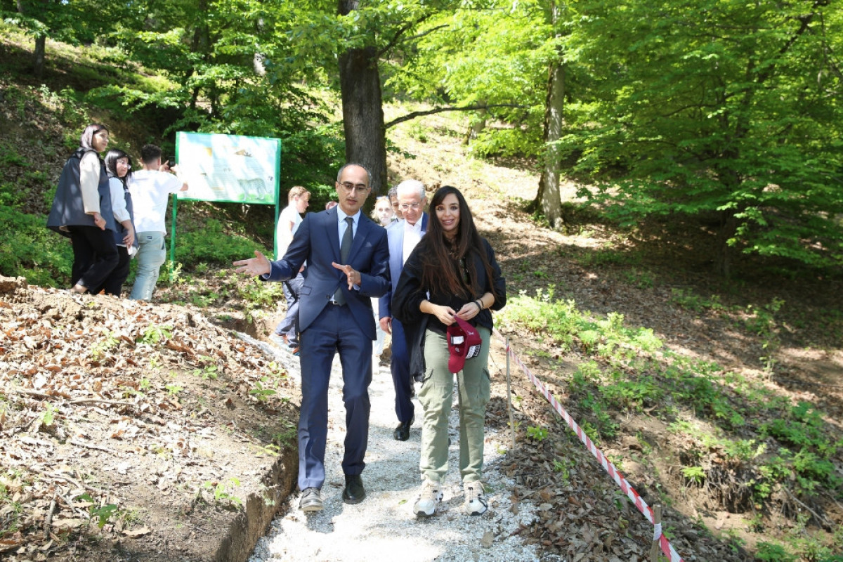 Лейла Алиева приняла участие в экологических акциях, посвященных 100-летию великого лидера-ФОТО 