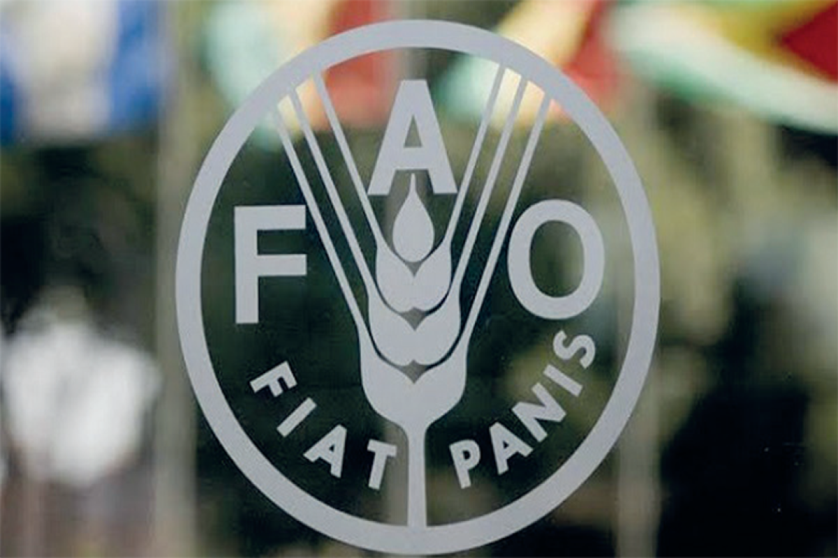 Food prices index slightly up in April: FAO