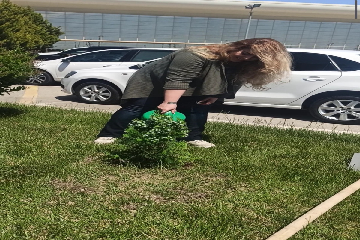 В Баку проведена акция по посадке деревьев в рамках «Года Гейдара Алиева» -ФОТО 
