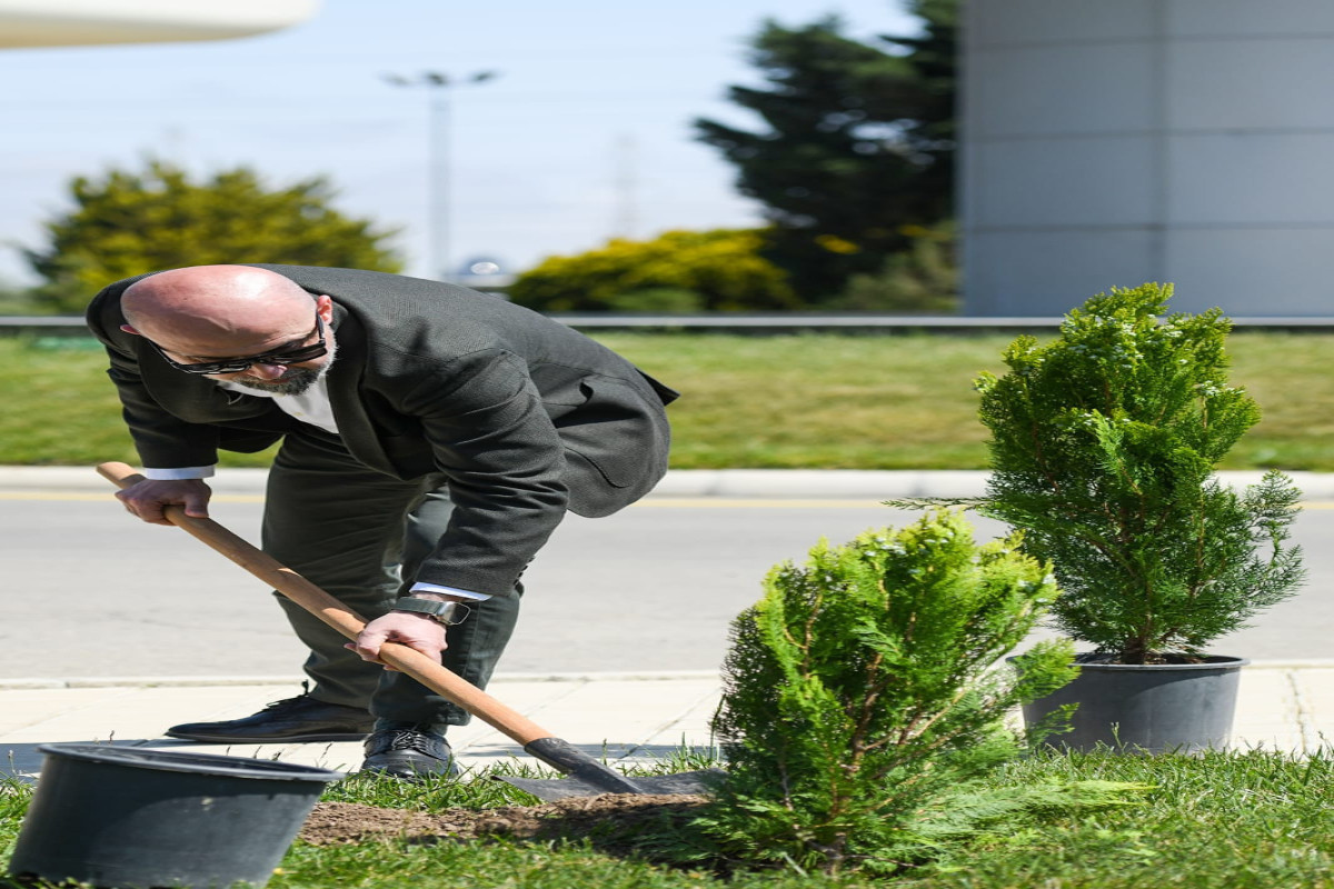 В Баку проведена акция по посадке деревьев в рамках «Года Гейдара Алиева» -ФОТО 