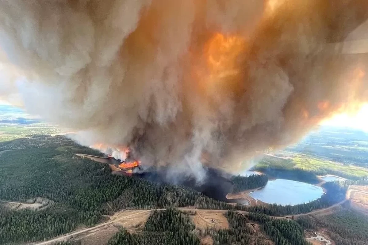 Canadian province of Alberta declares wildfire emergency
