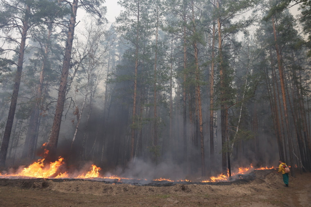State of emergency declared in Russia's Kurgan Region over wildfires