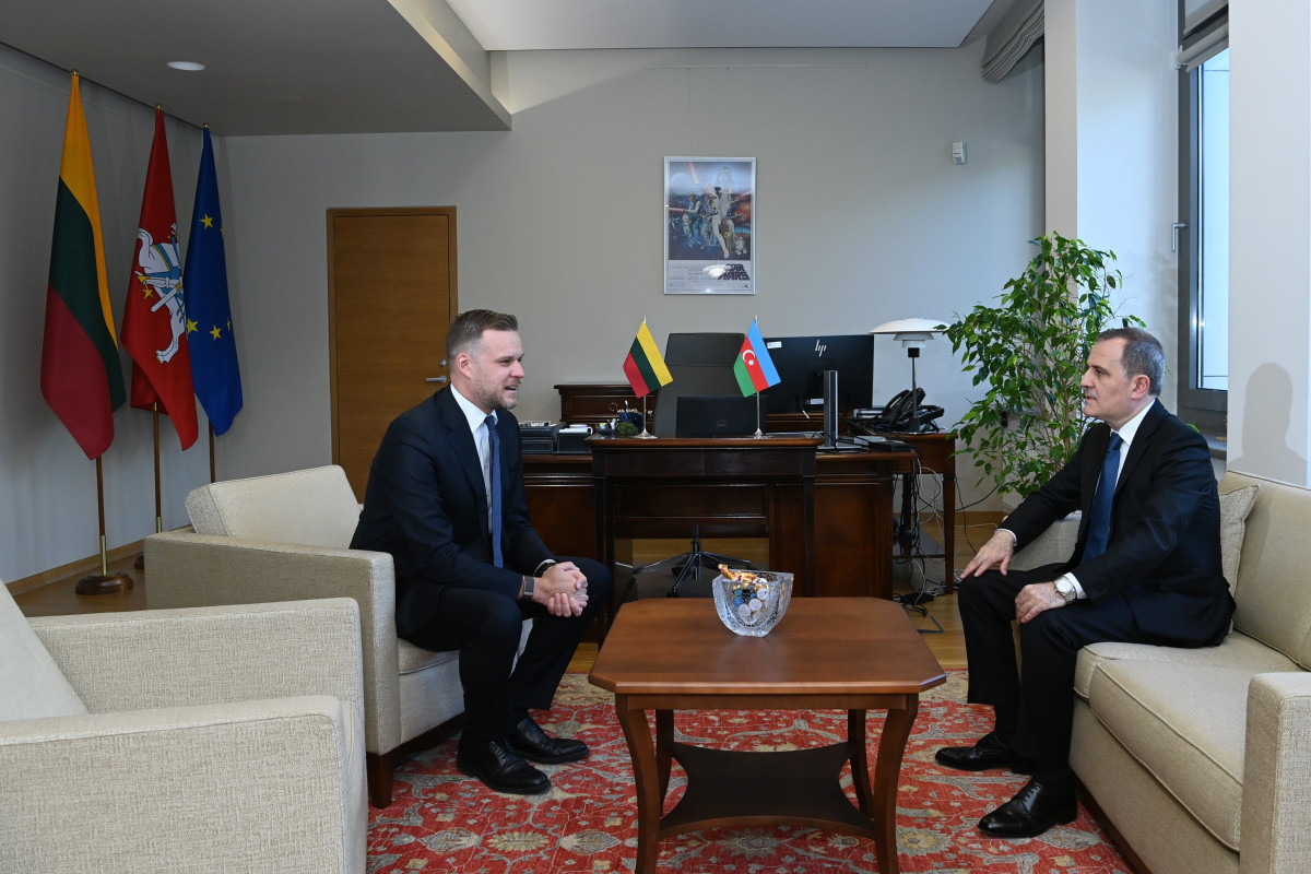 Джейхун Байрамов проинформировал литовского коллегу об усилиях по достижению мира