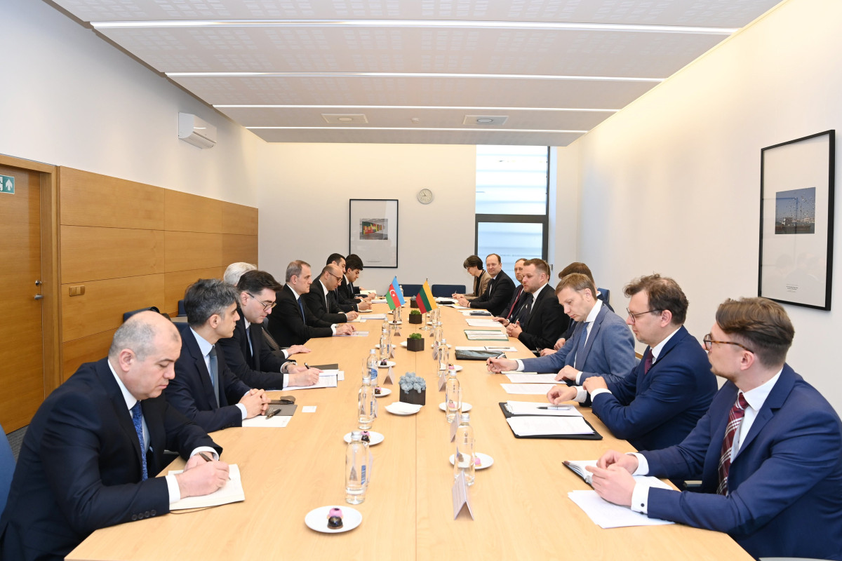 Azerbaijani FM informed his Lithuanian counterpart about efforts to achieve peace
