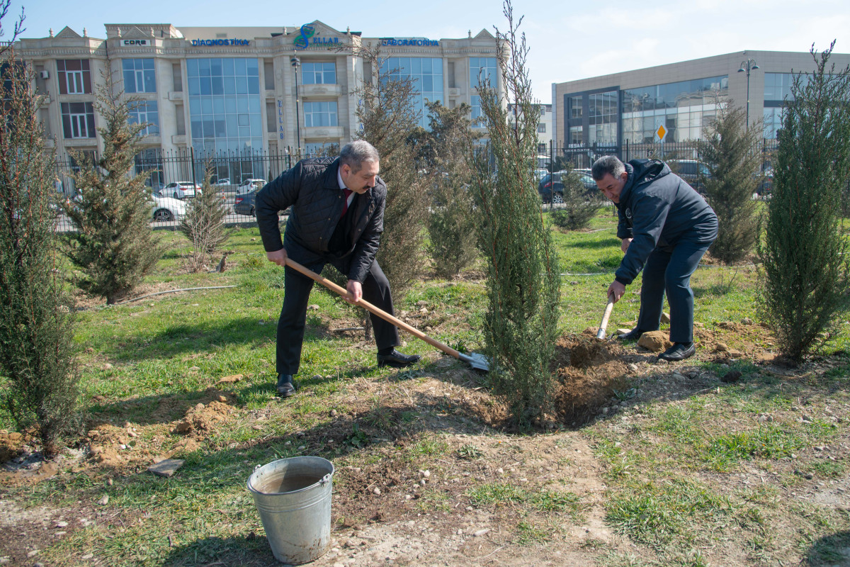 При поддержке ЗАО  Baku Steel Company проведены акции по посадке деревьев, приуроченные к 100-летию со дня рождения общенационального  лидера