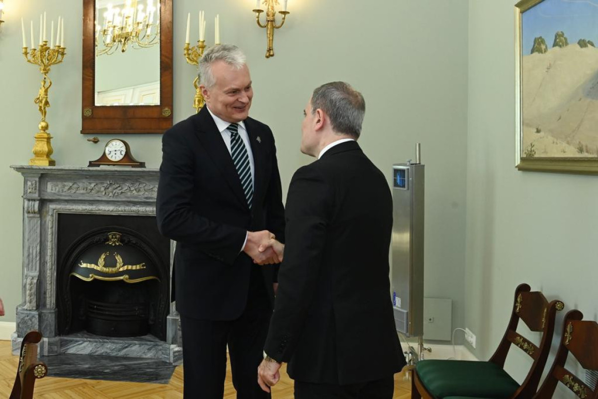 President of Lithuania received Azerbaijani FM