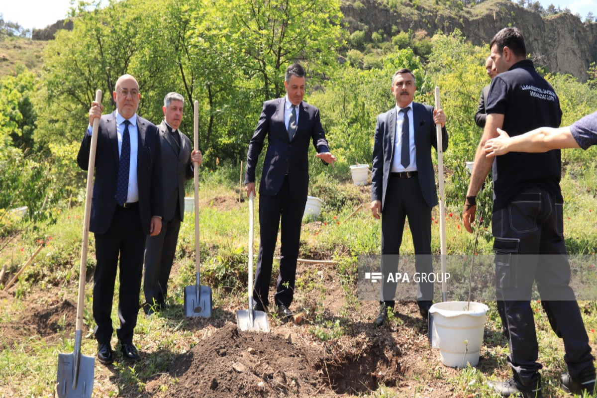 Memorial pomegranate garden named after Heydar Aliyev laid in Tbilisi Botanical Garden