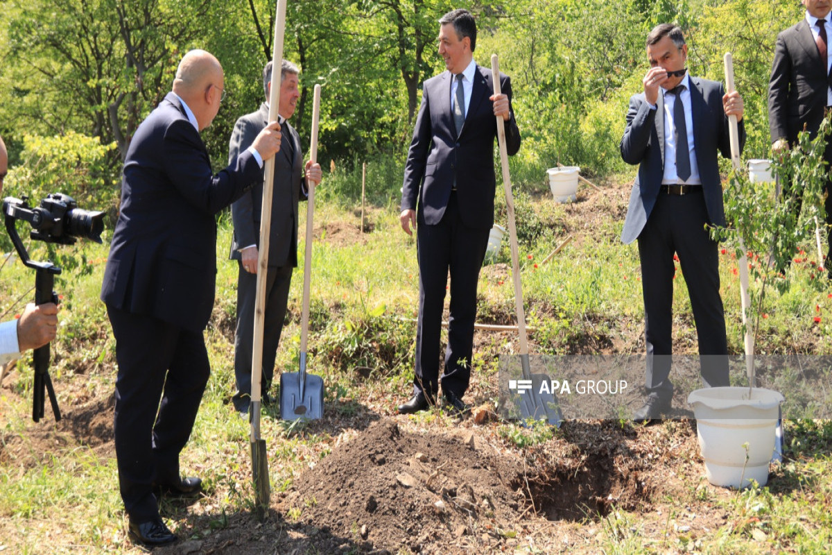 Memorial pomegranate garden named after Heydar Aliyev laid in Tbilisi Botanical Garden