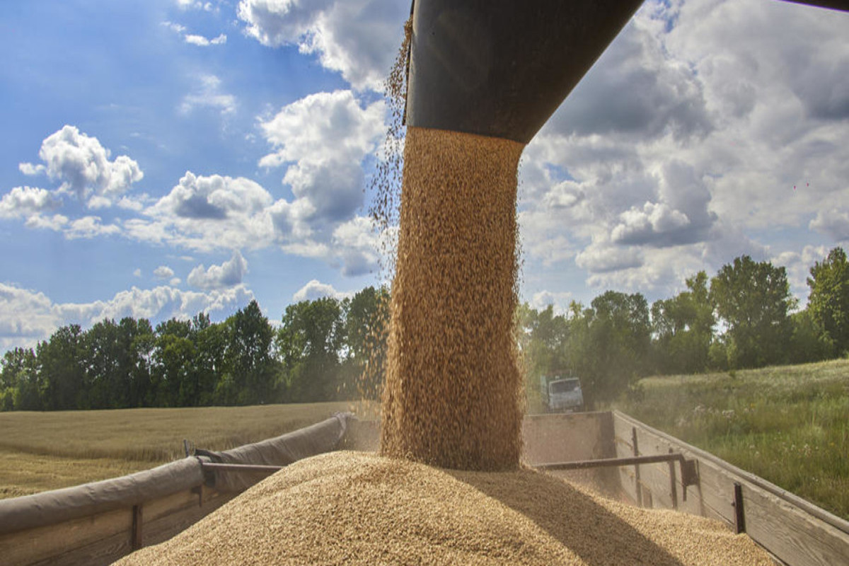 Госдеп США призвал к немедленному продлению «зерновой инициативы»