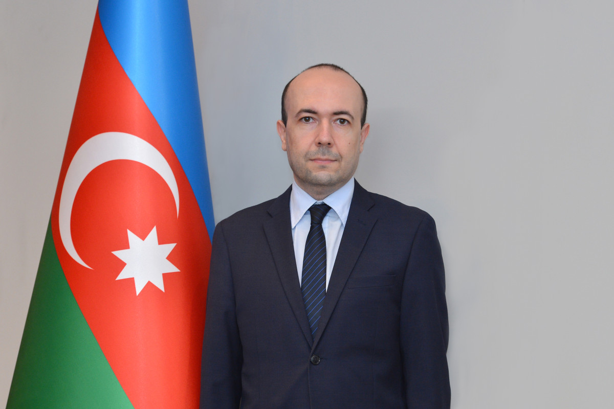 Azərbaycan xarici işlər nazirinin müavini Albaniyada səfərdə olub