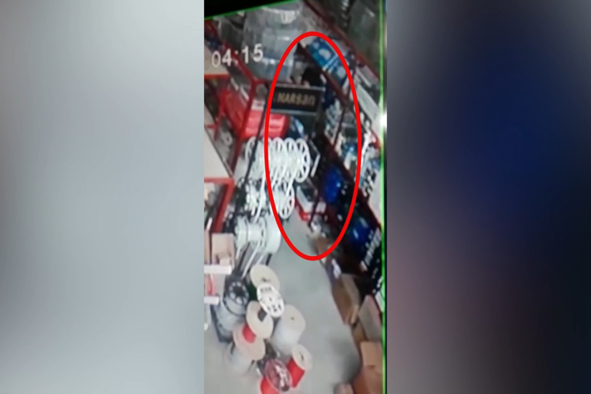 Şəmkirdə oğurluq və dələduzluq edən şəxslər saxlanılıb - FOTO 