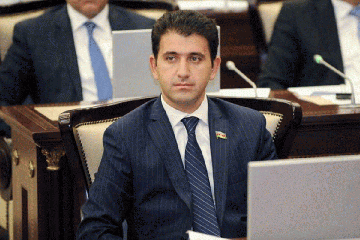 Naqif Həmzəyev, Milli Məclisin deputatı