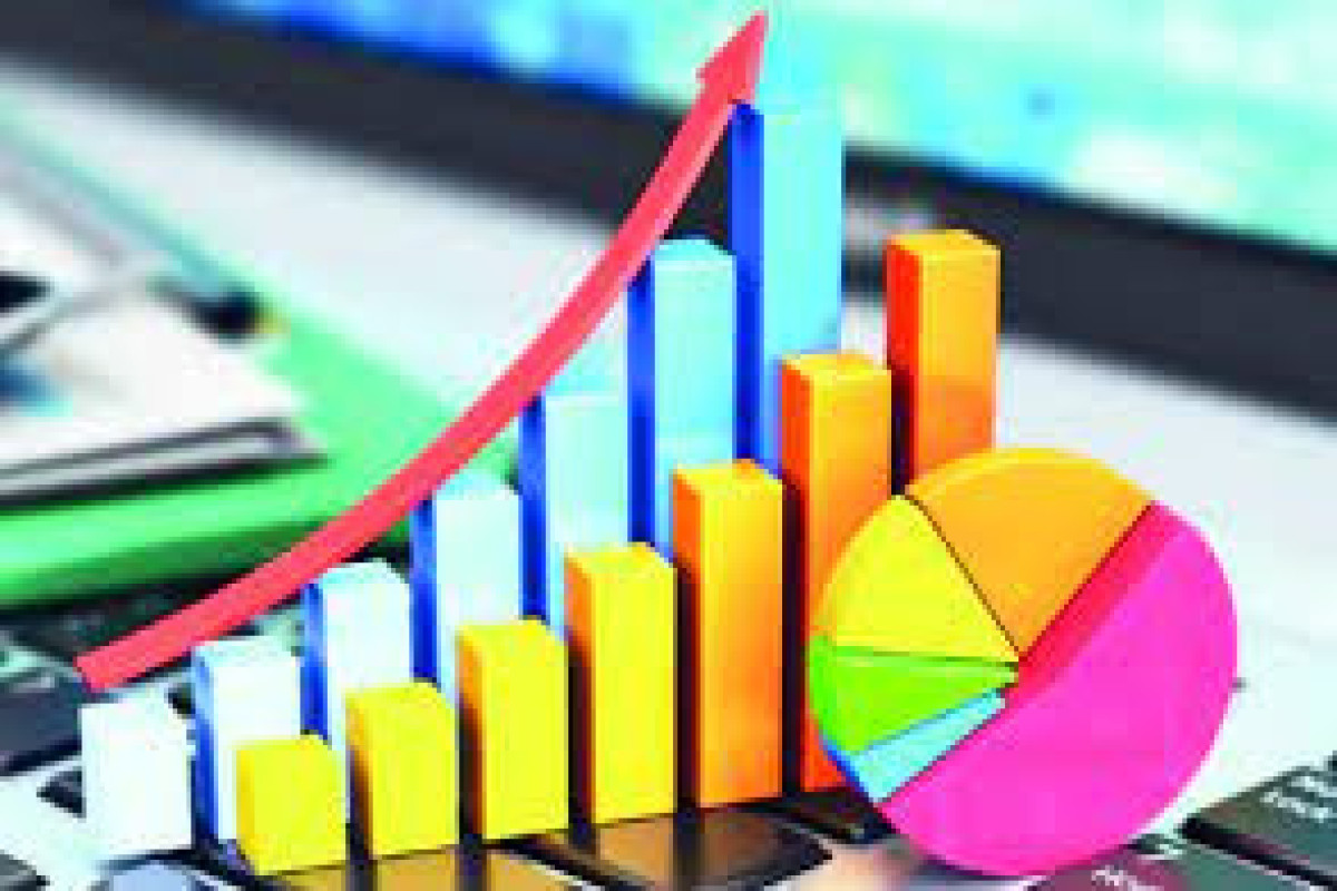Naxçıvan MR-də vergi daxilolmaları 63,7% artıb