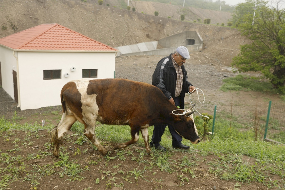 В селе Талыш жителям предоставлены активы, созданы мелкие хозяйства