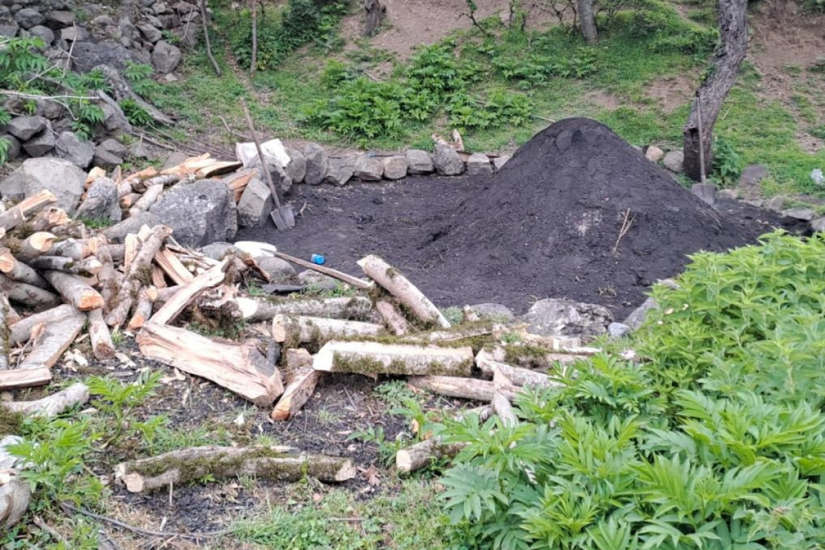 Qanunsuz ağac kömürü istehsal edilən quyular aşkarlanıb