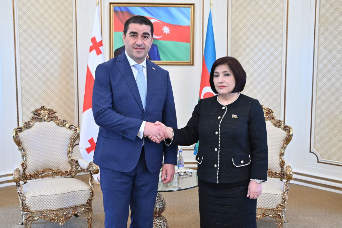 Sahibə Qafarova Gürcüstan parlamentinin sədri ilə görüşüb
