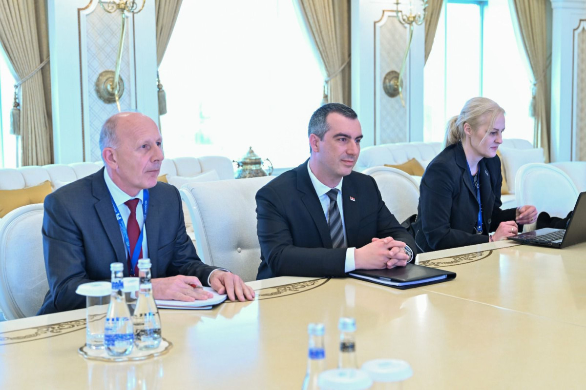 Сахиба Гафарова встретилась с председателем Национальной ассамблеи Сербии-ФОТО 