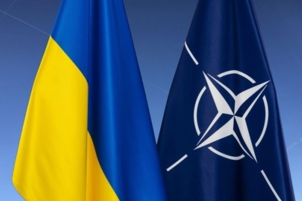 Президент Литвы: Сотрудничество Киева и НАТО следует перевести в политическую плоскость