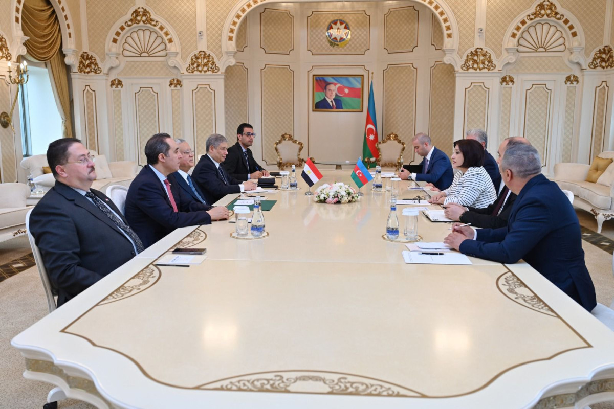 Chair of Azerbaijani Parliament meets with Chairman of Egyptian Parliament’s House of Representatives